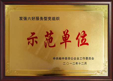 双强六好.jpg
