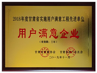 2018年度甘肃省实施用户满意工程先进单..